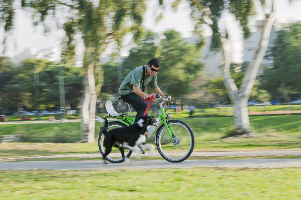 Cykla med hunden